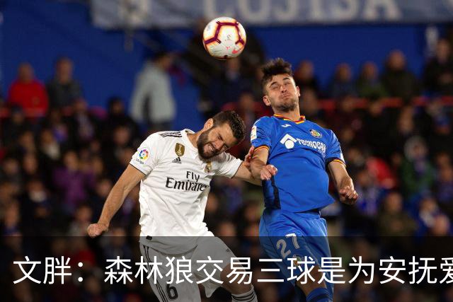 文胖：森林狼交易三球是为安抚爱德华兹 他一赛季被包夹近1000次